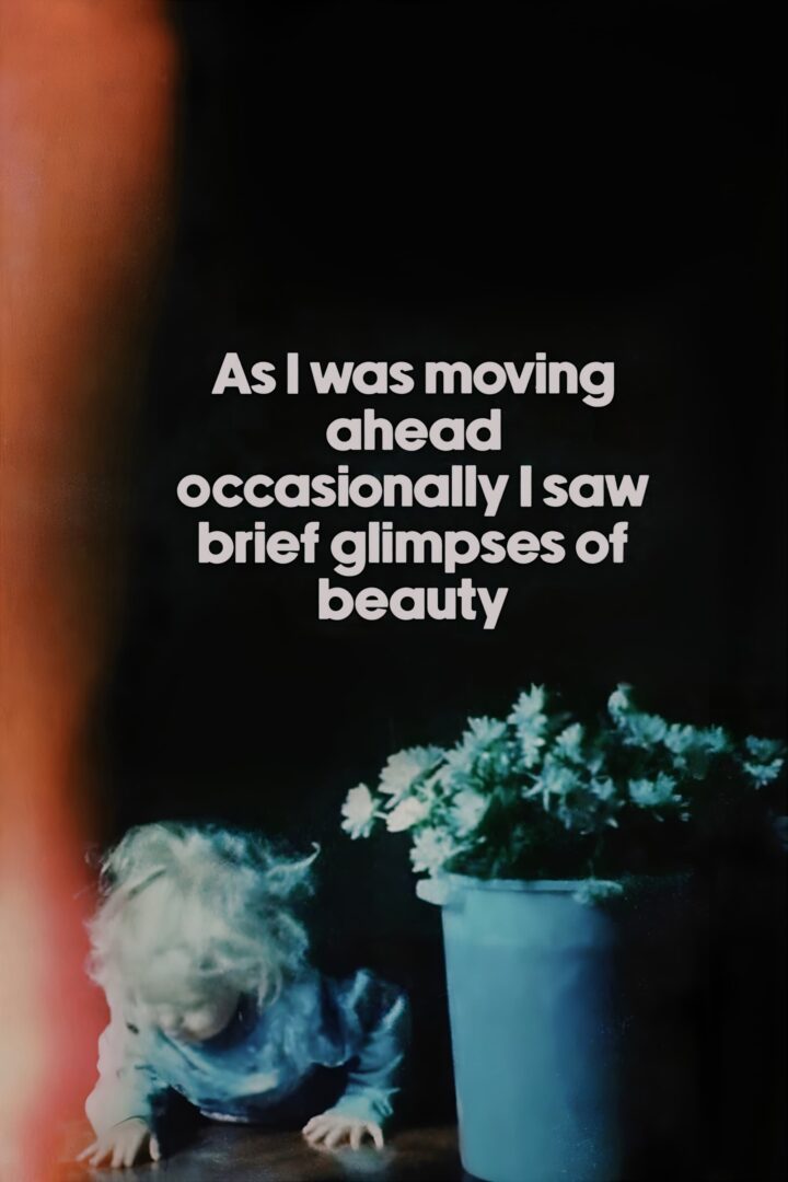 دانلود فیلم As I Was Moving Ahead Occasionally I Saw Brief Glimpses of Beauty 2000 بدون سانسور با پخش آنلاین