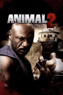 دانلود فیلم Animal 2 2008 بدون سانسور با پخش آنلاین