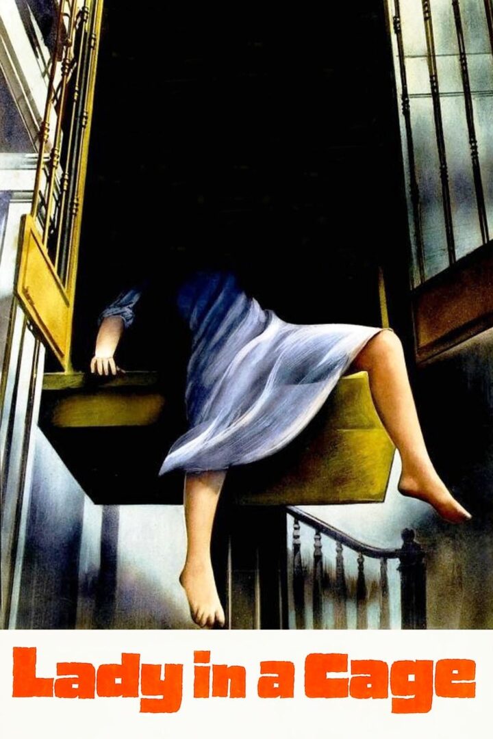 دانلود فیلم Lady in a Cage 1964 بدون سانسور با پخش آنلاین