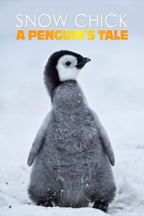 دانلود فیلم Snow Chick: A Penguin’s Tale 2015 بدون سانسور با پخش آنلاین