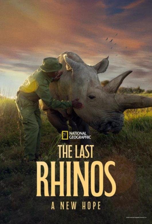 دانلود فیلم The Last Rhinos: A New Hope 2025 بدون سانسور با پخش آنلاین