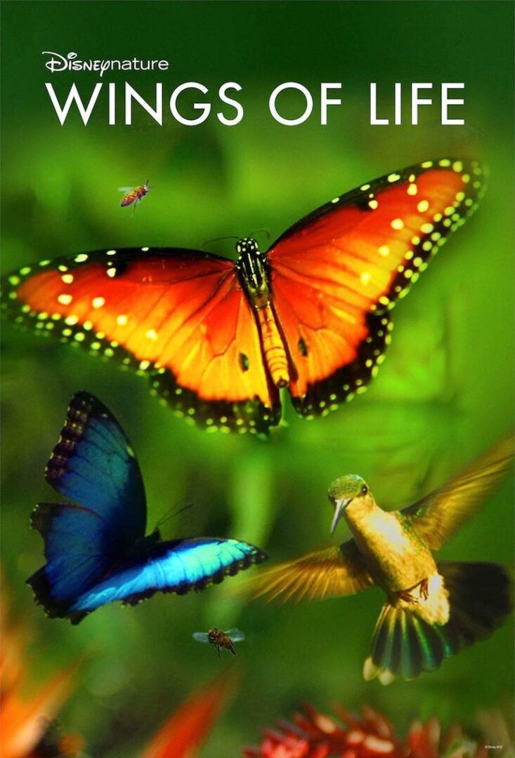 دانلود فیلم Disneynature: Wings of Life 2011 بدون سانسور با پخش آنلاین