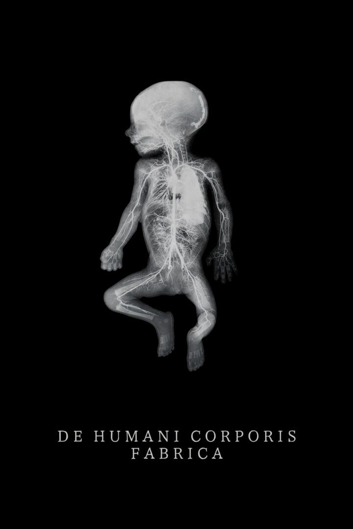 دانلود فیلم The Fabric of the Human Body 2022 بدون سانسور با پخش آنلاین