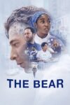 The Bear
